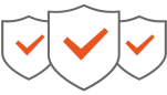 Secure Icon